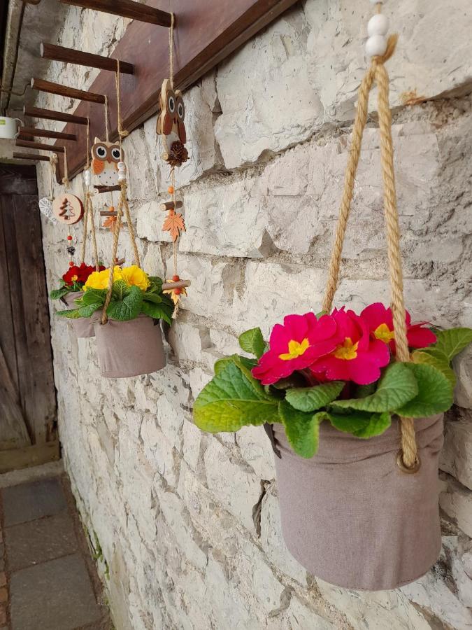SoffrancoKalipe Dolomiti公寓 外观 照片