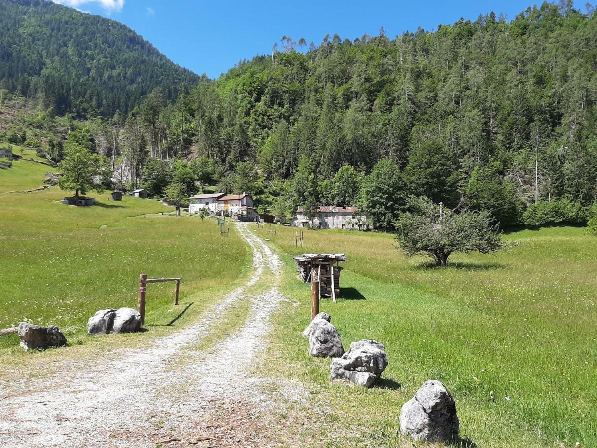 SoffrancoKalipe Dolomiti公寓 外观 照片