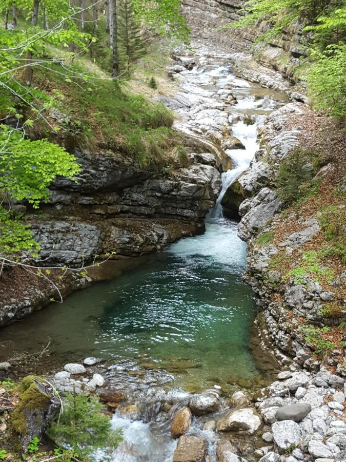 SoffrancoKalipe Dolomiti公寓 外观 照片