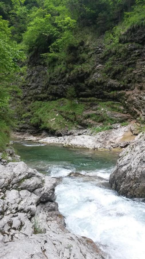 SoffrancoKalipe Dolomiti公寓 外观 照片